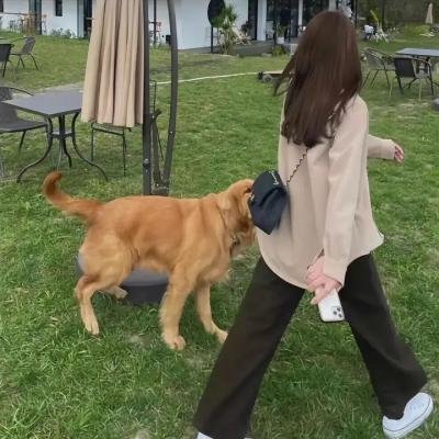 剧情长廊